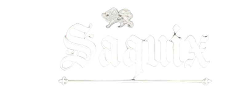 Saaquix | Business, Technology & Finance