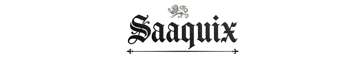 Saaquix | Business, Technology & Finance